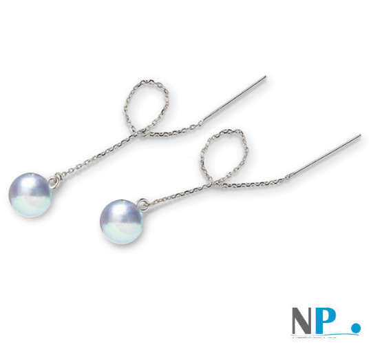 orecchini di perle Akoya blu argento , perle rare!