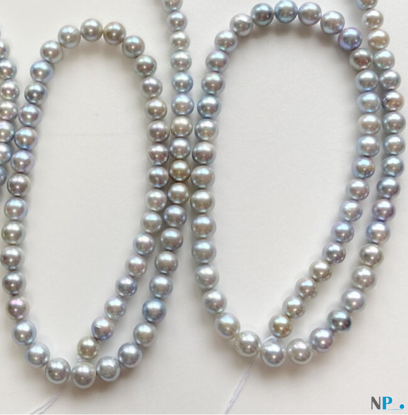 Perle blu Akoya naturali, collana di perle