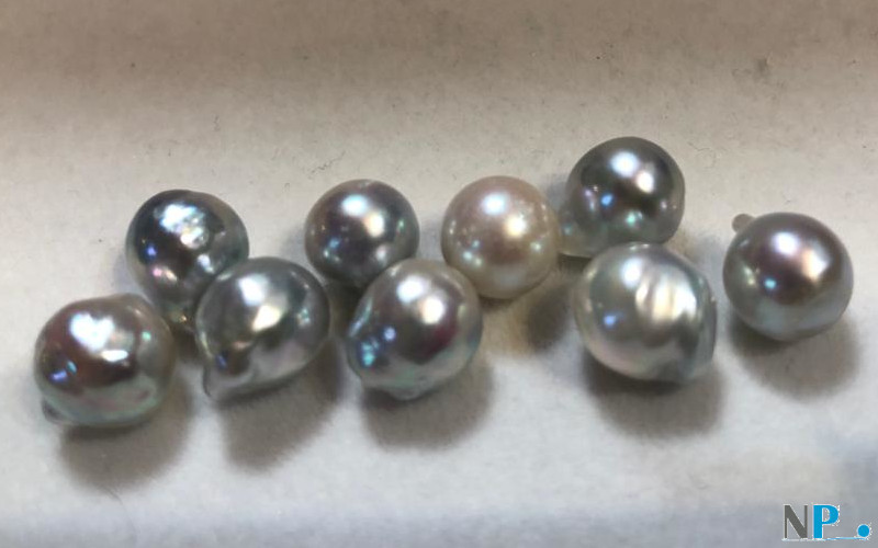 Perle Akoya blu argento di forma barocca a goccia ideali per pendenti