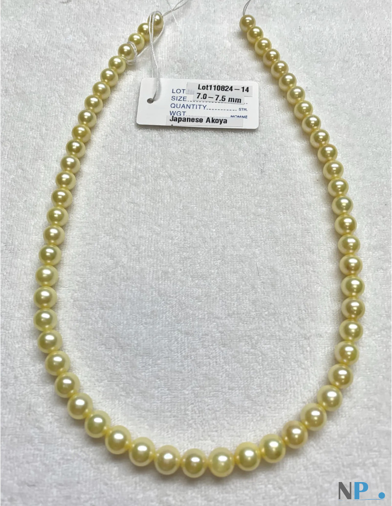 Collana 45 cm di Perle di coltura Akoya Collana 45 cm di Perle di coltura Akoya