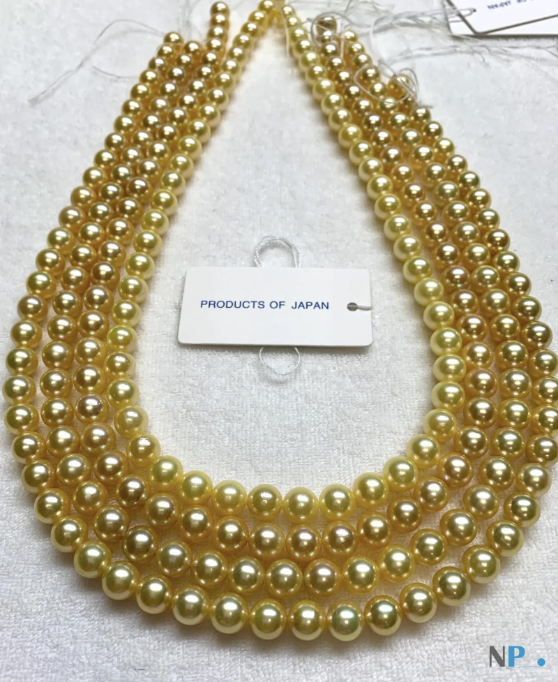 Collana 45 cm di Perle di coltura Akoya Collana 45 cm di Perle di coltura Akoya