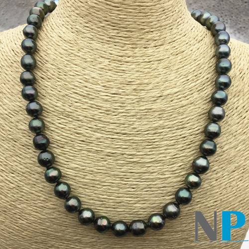 Collier de perles noires de tahiti, quasi rondes de 9 à 11 mm, belle luminosité 