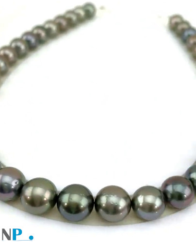 Collana di perle di Tahiti quasi rotonde