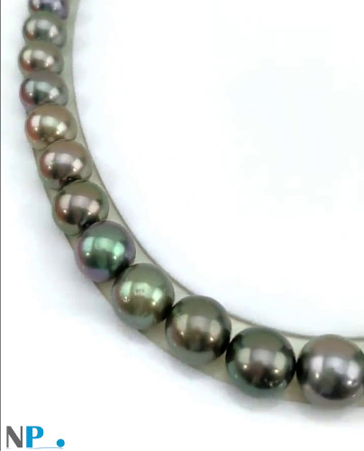 Collana di perle di Tahiti quasi rotonde