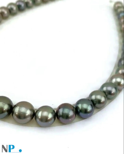 Collana di perle di Tahiti quasi rotonde