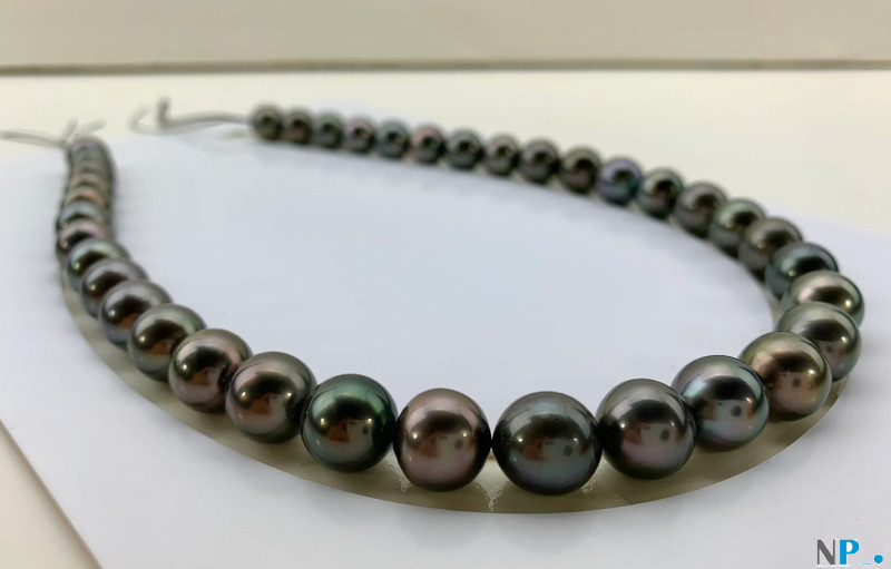 Collana di perle di Tahiti quasi rotonde