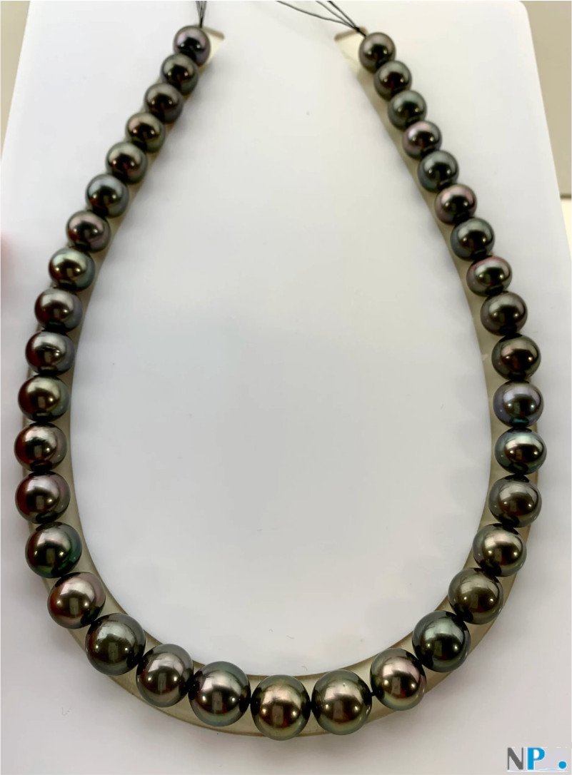 Collana di perle di Tahiti 