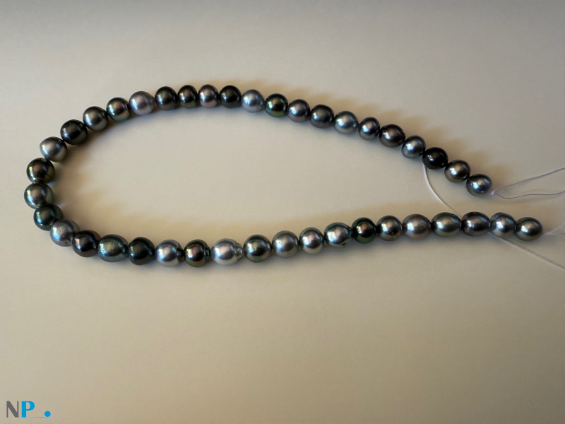 collana di perle di Tahiti perle di Tahiti splendida collana