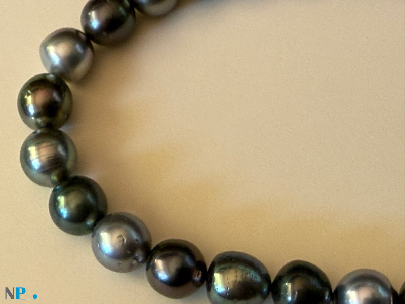 collana di perle di Tahiti perle di Tahiti splendida collana