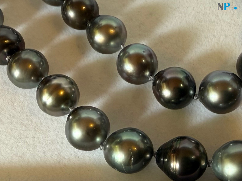 Collana di perle di Tahiti