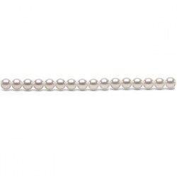 Filo 40 cm non montato di perle Akoya da 4-4,5 mm, bianche