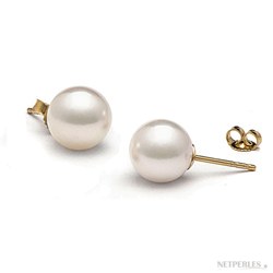 Orecchini Oro 14k Perle di coltura Akoya, 8.5-9 mm, bianche