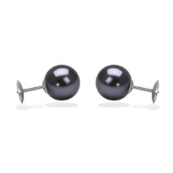 Orecchini perle Akoya, 7,5-8 mm nere su sistema brevettato Guardian