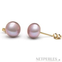 Paio di orecchini di perle d'acqua dolce dalla forma a bottone AA+, 10-11 mm Lavanda, Oro Giallo 14k