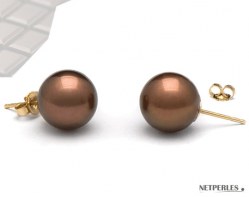 Orecchini oro 14k perle cioccolato di Acqua Dolce 9-10 mm AAA