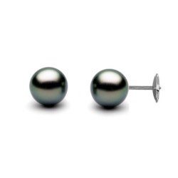 Orecchini Perle di coltura di Tahiti 11-12 mm sistema brevettato Guardian