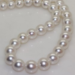 Collana 43 cm di perle Australiane bianche argento da 9,1 a 11,9 mm A+