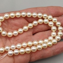 Collana 45 cm di Perle di coltura Akoya Champagne 8-8,5 mm AA+