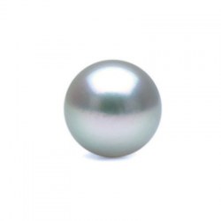 Perla di coltura Akoya blu argentata da 7,5-8 mm qualità AAA semi forata