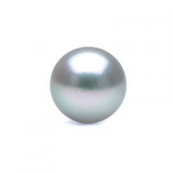 Perla di coltura Akoya blu argentata da 7,5-8 mm qualità AAA semi forata