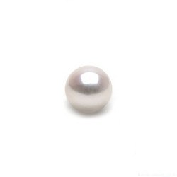Perla di coltura Akoya di acqua salata bianca 4,5-5 mm AA+ o AAA