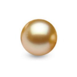 Perla delle Filippine non montata, dorata 11-12 mm di qualità AAA