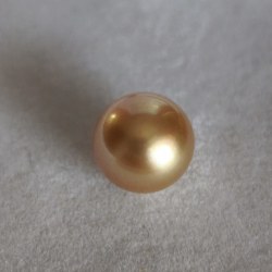 Perla delle Filippine non montata, dorata 12,1 mm di qualità AAA