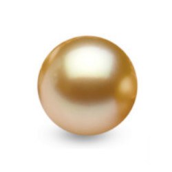 Perla delle Filippine non montata, dorata 13-14 mm di qualità AAA