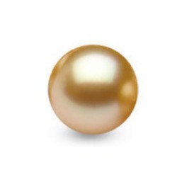 Perla delle Filippine non montata, dorata di qualità AAA