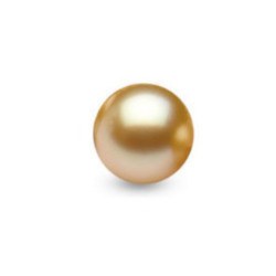 Perla delle Filippine non montata, dorata 8-9 mm di qualità AAA