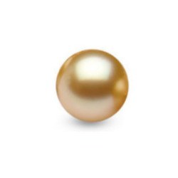 Perla delle Filippine non montata, dorata 9-10 mm di qualità AAA