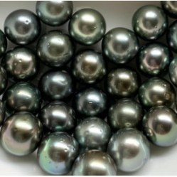 Perla di Tahiti nera 9-10 mm grigio qualità AA