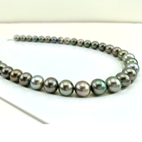 Collana 44 cm Perle nere di Tahiti da 10 a 12 mm qualità AA/AA+ multicolori