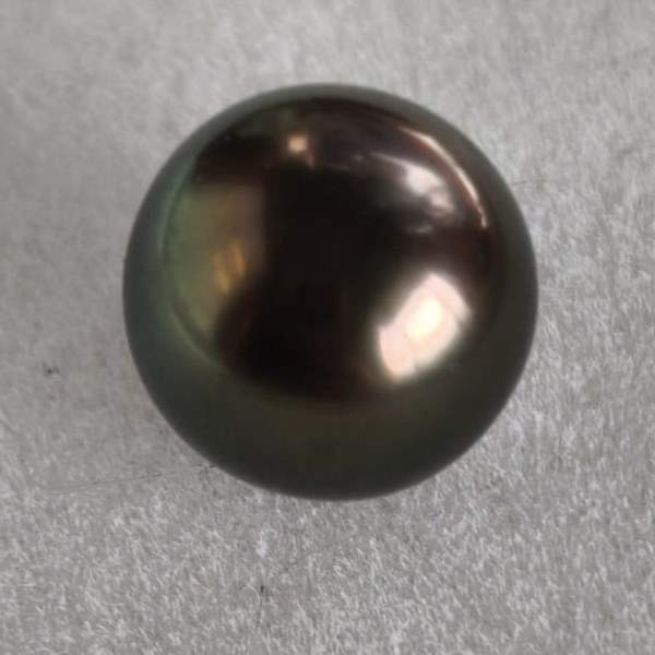 Perla di coltura di Tahiti nera 11,9 mm ramata qualità AAA