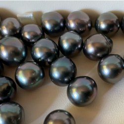 Perla di Tahiti nera 10-11 mm forma quasi rotonda qualità AA/AA+